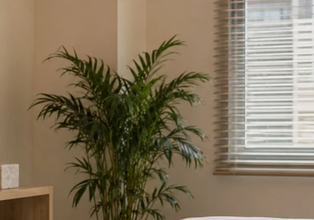 Relaxation — distinct illustrative spa & wellness website service view